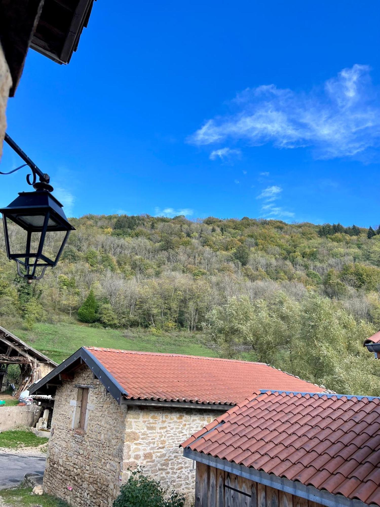 Gite Brin De Nature Au Coeur De La Nature Bugiste Amberieu-en-Bugey Luaran gambar